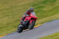 PJ-Motorsport-2019;anglesey-no-limits-trackday;anglesey-photographs;anglesey-trackday-photographs;enduro-digital-images;event-digital-images;eventdigitalimages;no-limits-trackdays;peter-wileman-photography;racing-digital-images;trac-mon;trackday-digital-images;trackday-photos;ty-croes